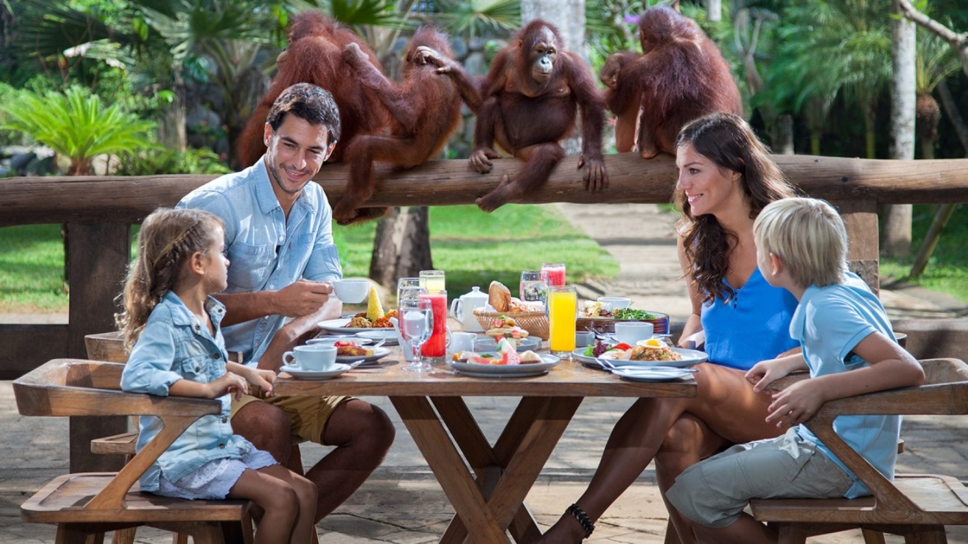 Breakfast-With-Orang-Utan