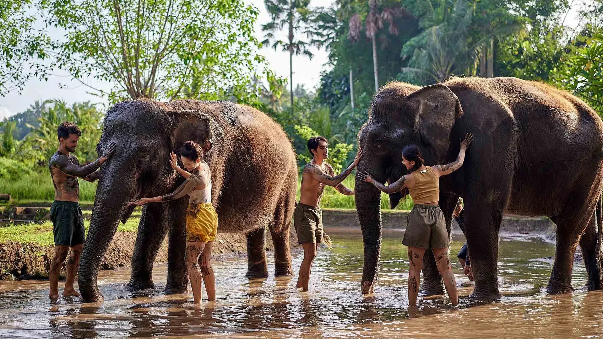 Elephant-Mud-Fun-2