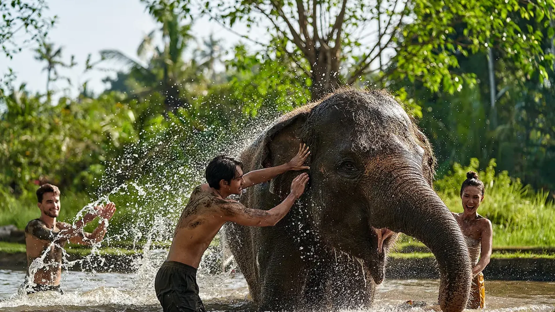 Elephant-Mud-Fun-4