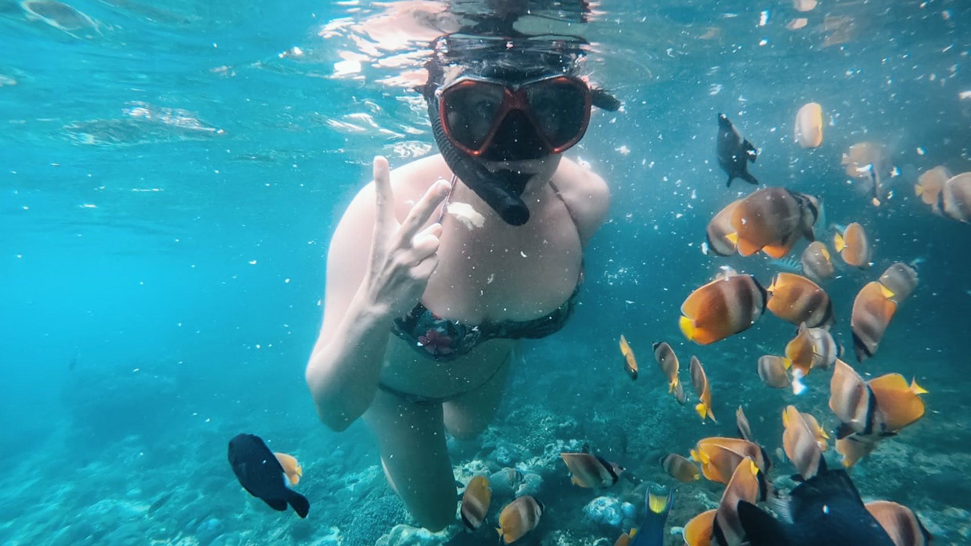 Snorkeling (3)